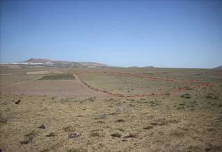Rural/Agricultural land for sale in Tiagua, Teguise, Lanzarote. 