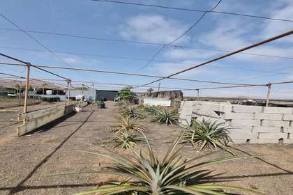 Rural/Agricultural land for sale in Tao, Teguise, Lanzarote. 
